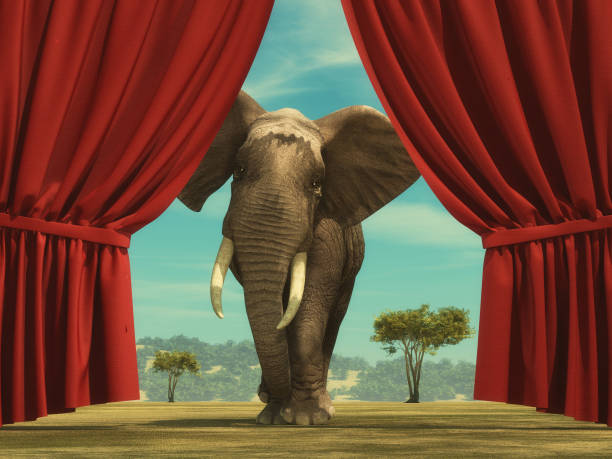 istock Opened red curtain shows an elephant entering the stage.This is a 3d render illustration 1155127562
