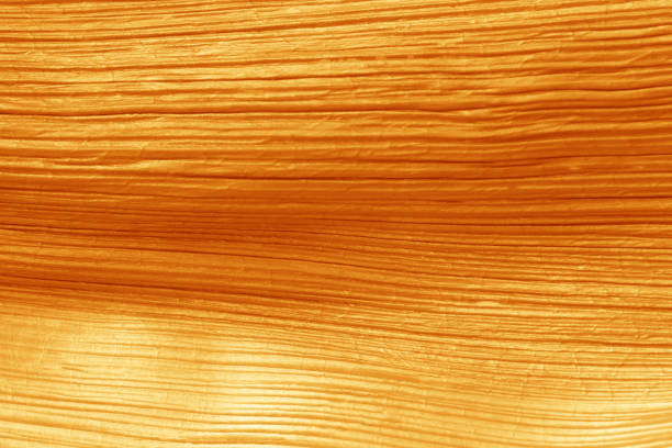 istock Surface of leaf gold color for textured background. 1155128413