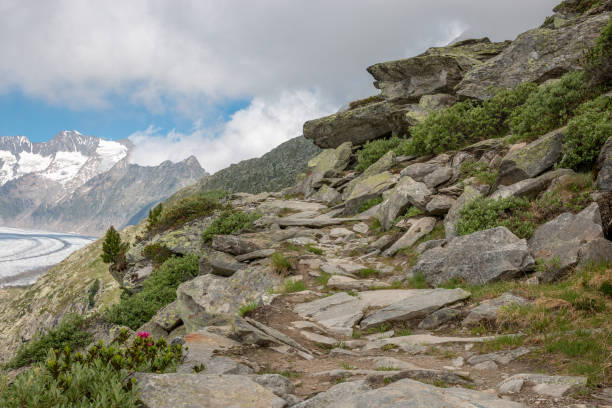 Panorama of mountains scene, walk through the great Aletsch Glacier