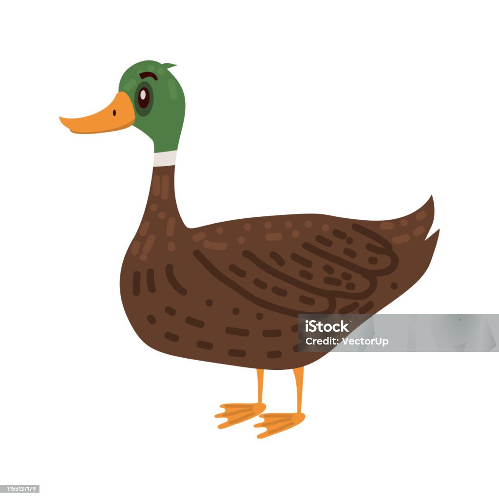 Ilustración de Pato Lindo Animal Pájaro Tendencia Estilo De Dibujos Animados Vector Ilustración Aislado Sobre Fondo Blanco y más Vectores Libres de Derechos de Ala de animal - iStock Ilustración de Pato Lindo Animal Pájaro Tendencia Estilo De Dibujos Animados Vector Ilustración Aislado Sobre Fondo Blanco y más Vectores Libres de Derechos de Ala de animal - iStock