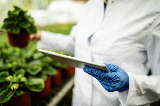 istock Close-up of plant nursery biotechnologist using touchpad. 1155142832