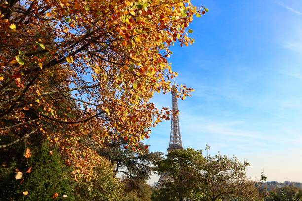 istock The fall of Paris and the Eiffel Tower 1155143365