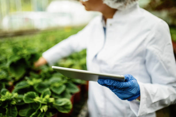 istock Close-up of scientist using touchpad in plant nursery. 1155143662