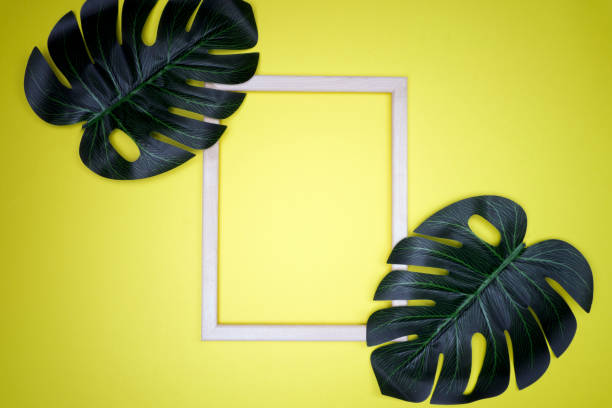 istock Summer composition with monstera leaves. Tropical leaves, empty photo frame on pastel yellow background. 1155144940