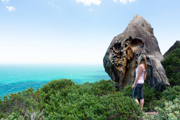 Visitor admires the coastal landscape and rockforms