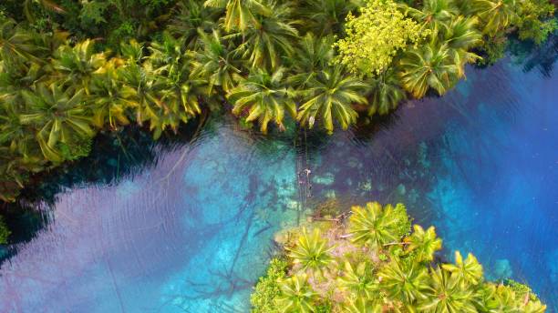 istock Paisupok Lake and palm trees 1155150394