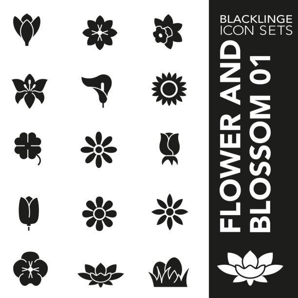 illustrazioni stock, clip art, cartoni animati e icone di tendenza di set di icone in bianco e nero di fiore e fiore 01 - tulip sunflower single flower flower