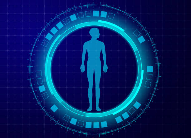 Human body research High resolution jpeg included.
Vector files can be re-edit and used in any size round the world travel stock illustrations
