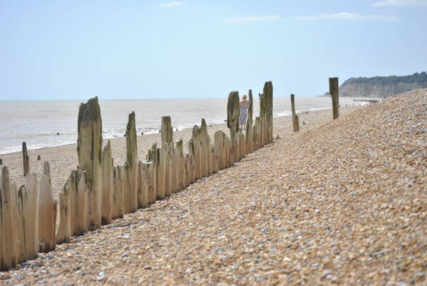 istock Winchelsea Beach 1155153299