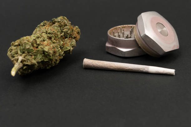 Closeup of grinder and marijuana bud