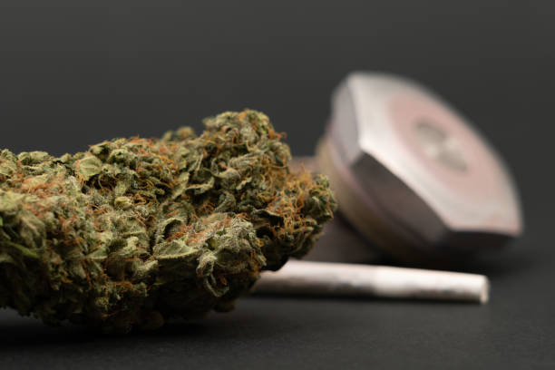 istock Closeup of marijuana bud with joint and grinder 1155153452