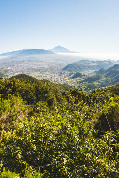 istock View to Teide mountain in Tenerife island 1155154521