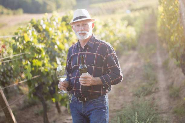 istock Senior man in his vineyard 1155154729