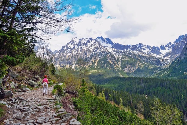 istock Hiking in Tatra Mountains, Slovakia 1155154941