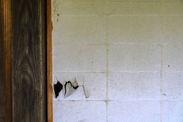 istock Japanese old house 1155163490
