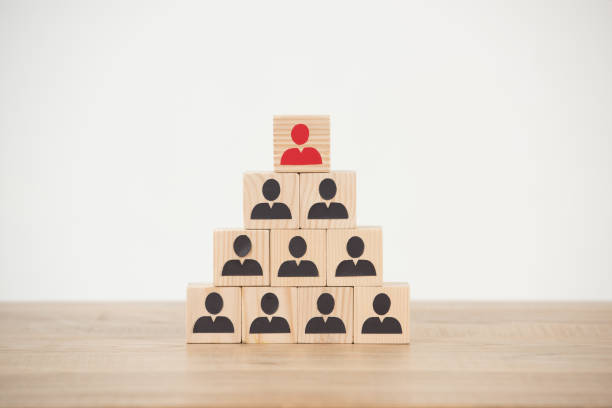 istock management hierarchy pyramid with wooden cubes on white 1155165338