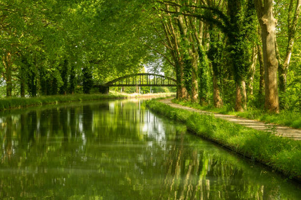 tree reflections in the Canal de Garonne