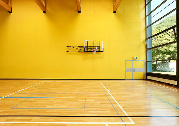 istock public school, interior wide gym 115516919