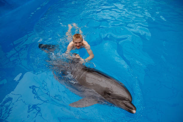 istock happy man swim with dolphin in dolphinarium 1155170003