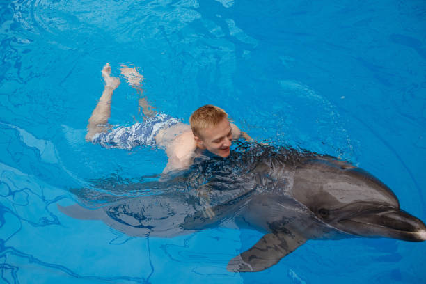 istock happy man swim with dolphin in dolphinarium 1155170119