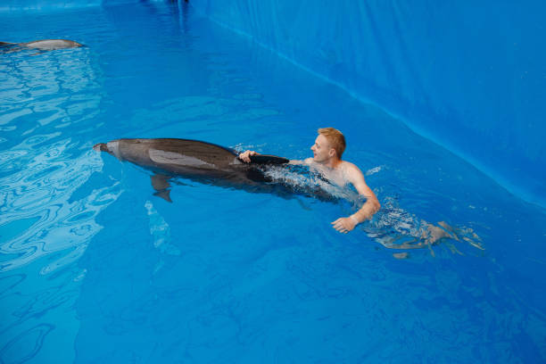 happy man swim with dolphin in dolphinarium