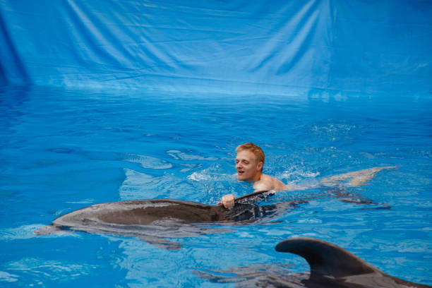 istock happy man swim with dolphin in dolphinarium 1155170123