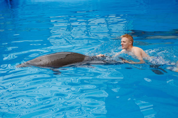 istock happy man swim with dolphin in dolphinarium 1155170152