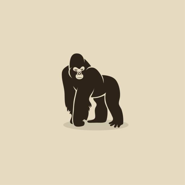ilustrações, clipart, desenhos animados e ícones de gorila-ilustração do vetor - gorila