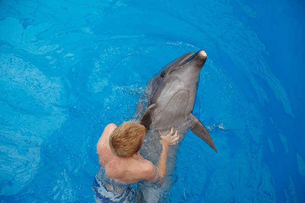 istock happy man swim with dolphin in dolphinarium 1155170672