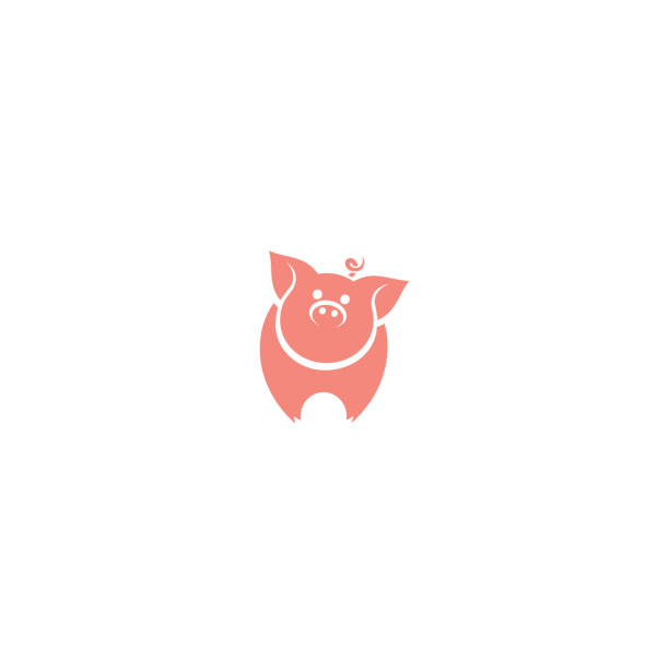 ilustrações, clipart, desenhos animados e ícones de ícone do porco-ilustração do vetor - domestic pig