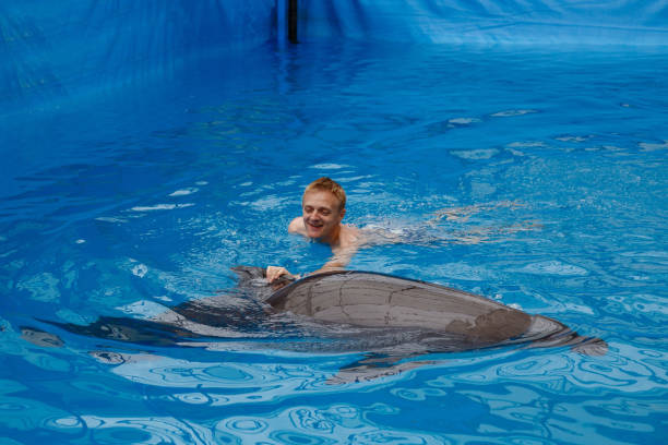 istock happy man swim with dolphin in dolphinarium 1155170783