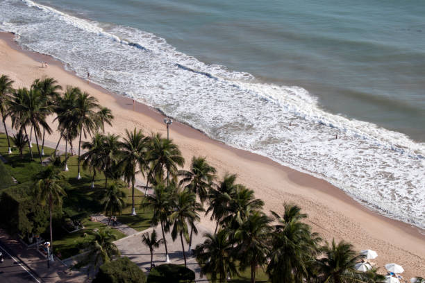 istock Aerial view of the beach with palm trees 1155171308