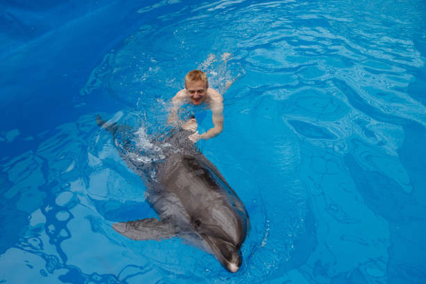 istock happy man swim with dolphin in dolphinarium 1155171318