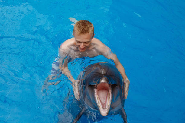istock happy man swim with dolphin in dolphinarium 1155171367