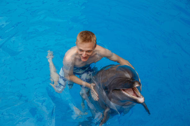 happy man swim with dolphin in dolphinarium - dolphin aquarium bottle nosed dolphin smiling imagens e fotografias de stock