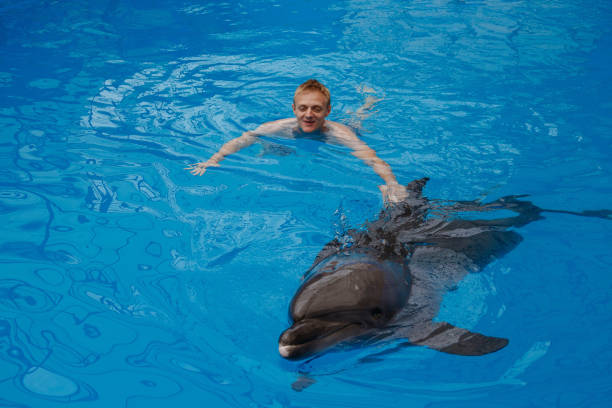 istock happy man swim with dolphin in dolphinarium 1155172047