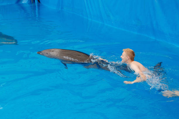 istock happy man swim with dolphin in dolphinarium 1155172087