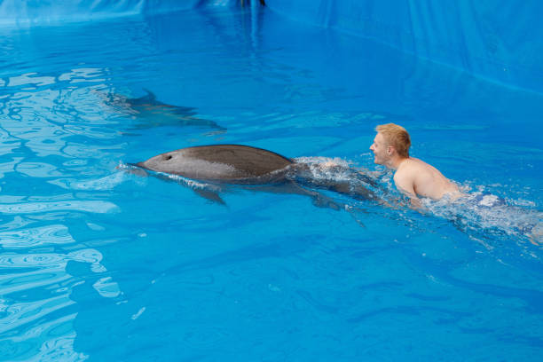istock happy man swim with dolphin in dolphinarium 1155172162