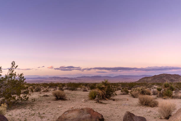 istock Sunset in a desert: crazy pink/violet clouds, sand, and dry plants. 1155175927
