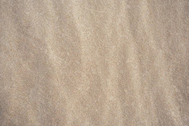 istock Natural sand texture background close up. 1155177036