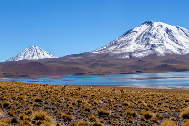 ラグーン miscanti、アタカマ砂漠のアンデス山脈の高湖、チリ北部、南米 - panoramic nature atacama region south america ストックフォトと画像