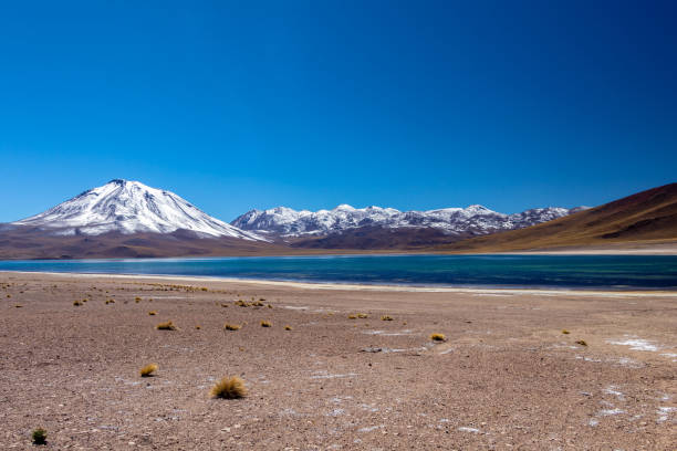 アタカマ砂漠、チリ北部、南アメリカのアンデス山脈で高いラグナ miscanti - panoramic nature atacama region south america ストックフォトと画像