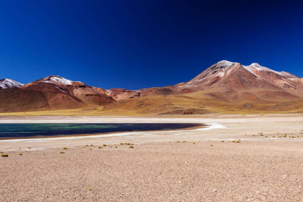 アタカマ砂漠、チリ北部、南アメリカのアンデス山脈で高いラグナ miscanti - panoramic nature atacama region south america ストックフォトと画像