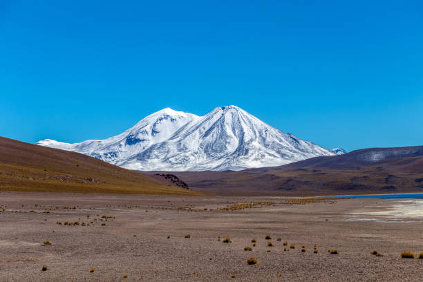 laguna miscanti alta nelle ande nel deserto di atacama, cile settentrionale, sud america - panoramic nature atacama region south america foto e immagini stock