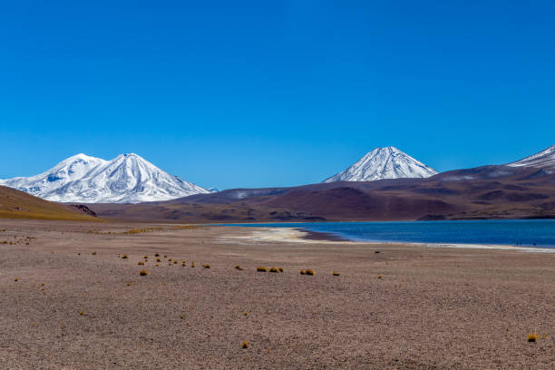 laguna miscanti alta nelle ande nel deserto di atacama, cile settentrionale, sud america - panoramic nature atacama region south america foto e immagini stock