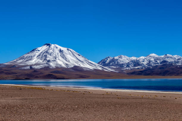 laguna miscanti alta nelle ande nel deserto di atacama, cile settentrionale, sud america - panoramic nature atacama region south america foto e immagini stock