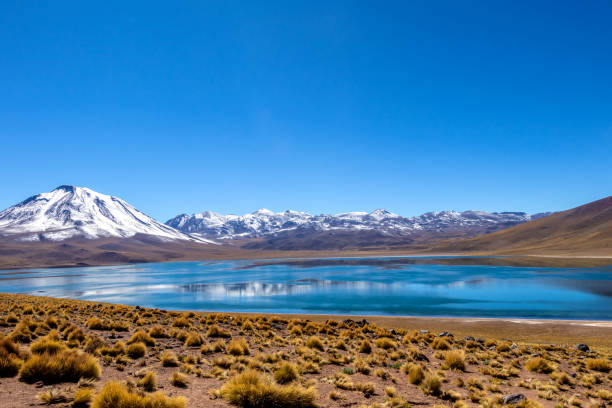 アタカマ砂漠、チリ北部、南アメリカのアンデス山脈で高いラグナ miscanti - panoramic nature atacama region south america ストックフォトと画像