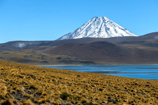 laguna miscanti alta nelle ande nel deserto di atacama, cile settentrionale, sud america - panoramic nature atacama region south america foto e immagini stock