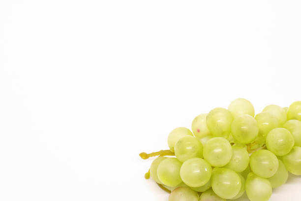 istock bunch of grapes close-up on a white background, place for text 1155178725