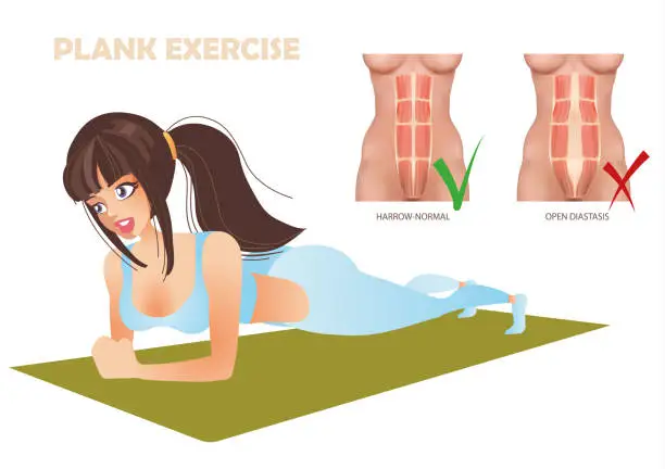 Vector illustration of Woman making perfect body with the plank exercise.